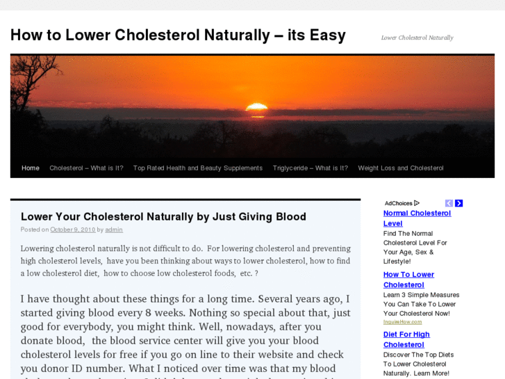 www.howtolowercholesterolnaturally.us