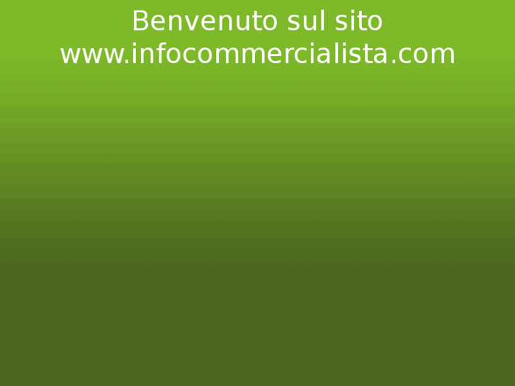 www.infocommercialista.com