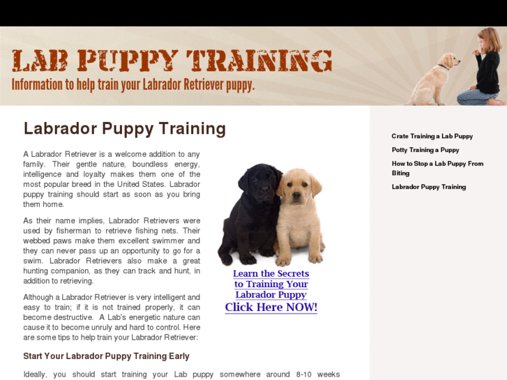 www.labpuppytraining.net