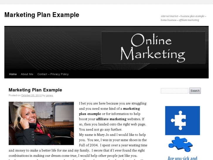 www.marketingplanexample.org