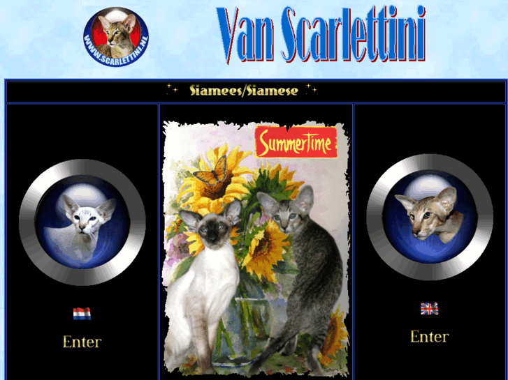 www.scarlettini.nl