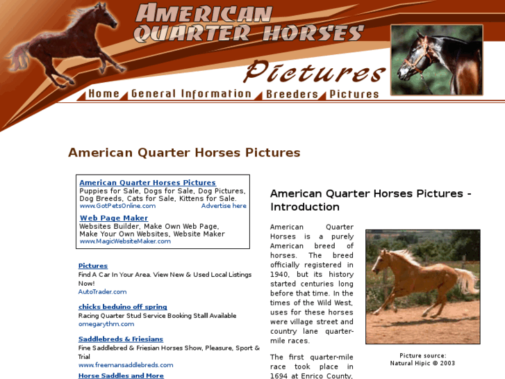 www.american-quarter-horses-pictures.com