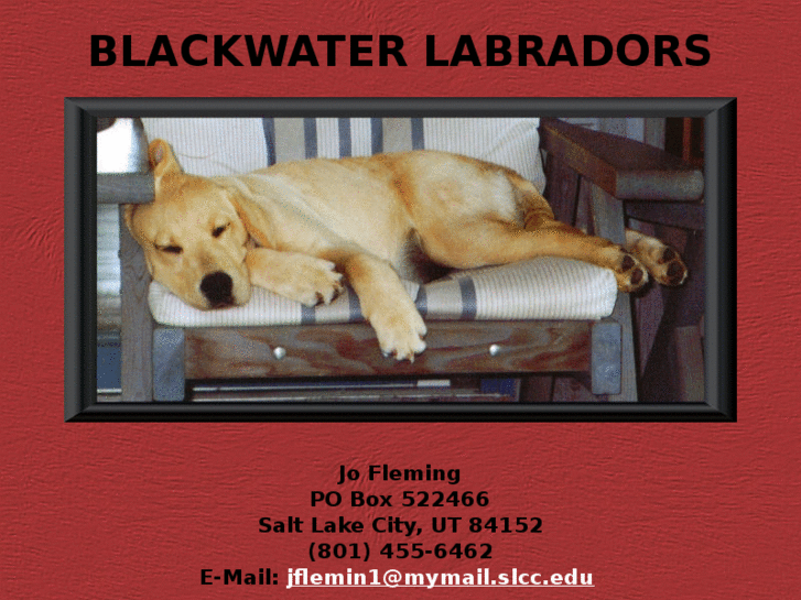 www.blackwaterlabradors.com