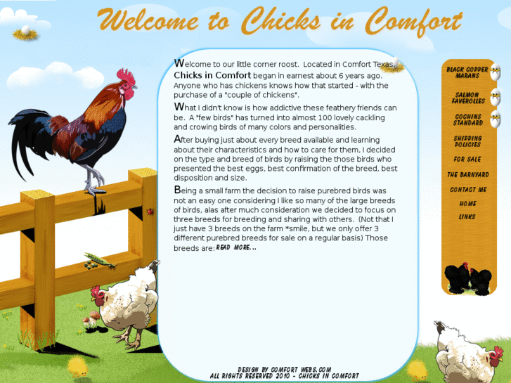 www.chicksincomfort.com