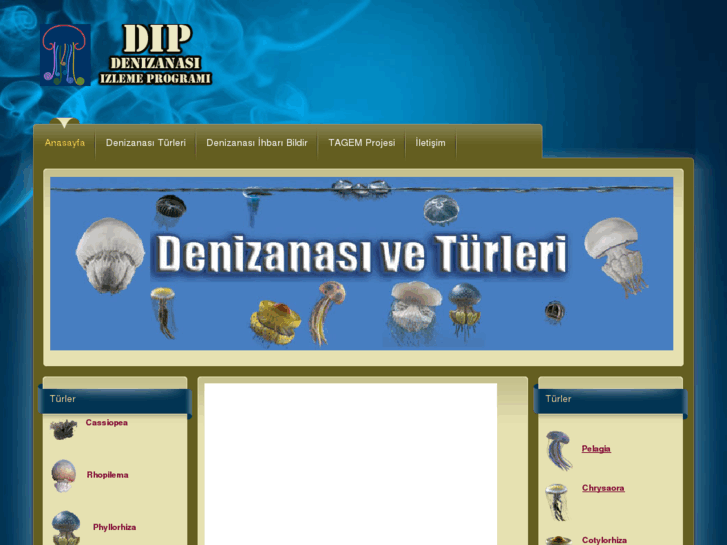 www.denizanasi.org