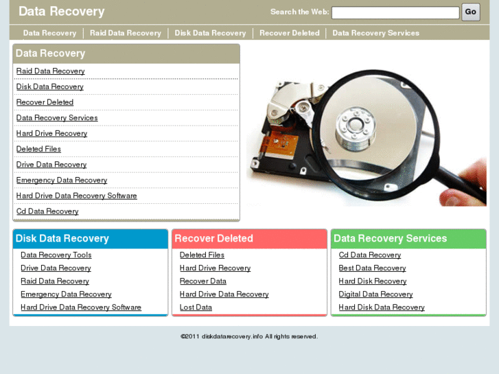 www.diskdatarecovery.info