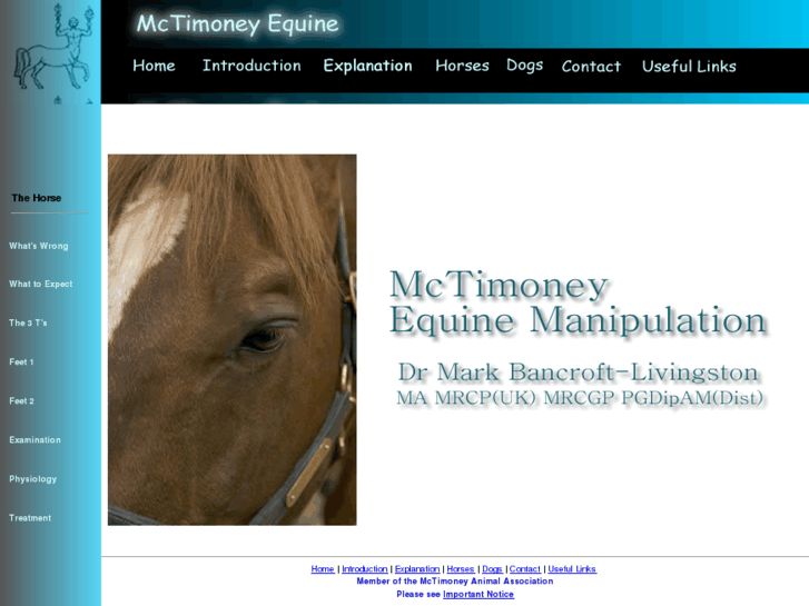 www.mctimoney-equine.com