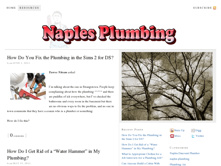 www.naples-plumbing.com