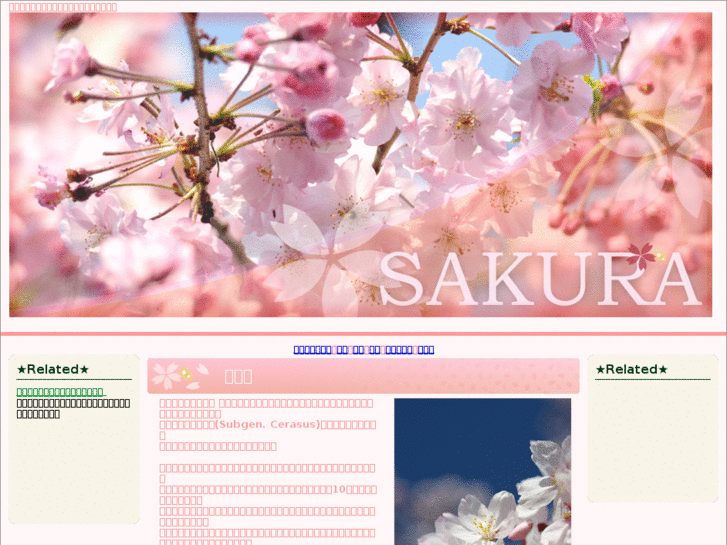 www.sakurainfo.net