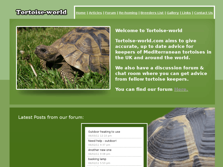 www.tortoise-world.com