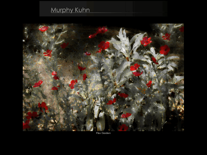 www.murphykuhn.com