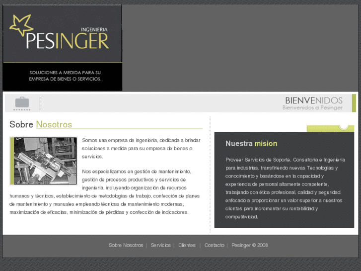 www.pesinger.com.ar