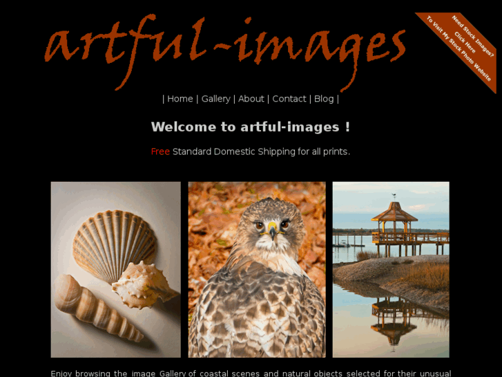 www.artful-images.com