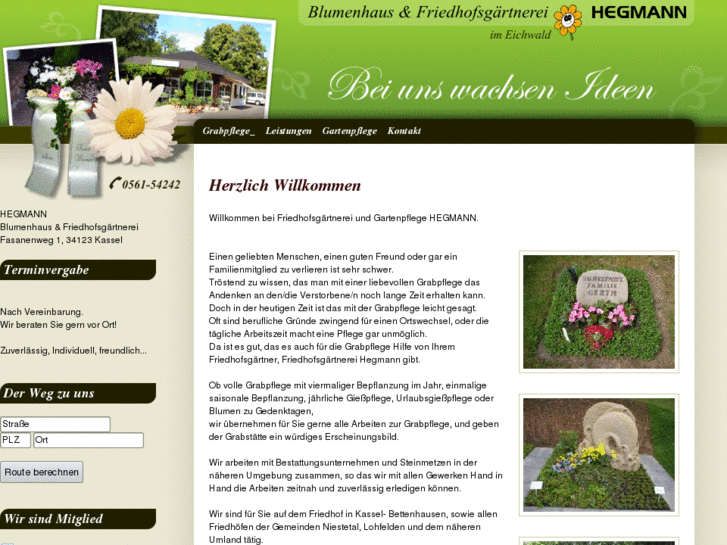 www.blumen-kassel.com