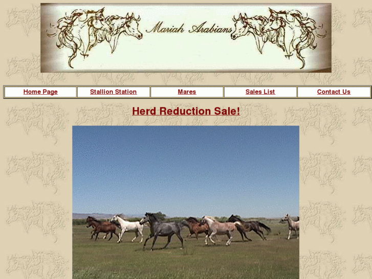 www.mariah-arabians.com