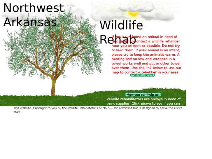 www.nwawildliferehab.com