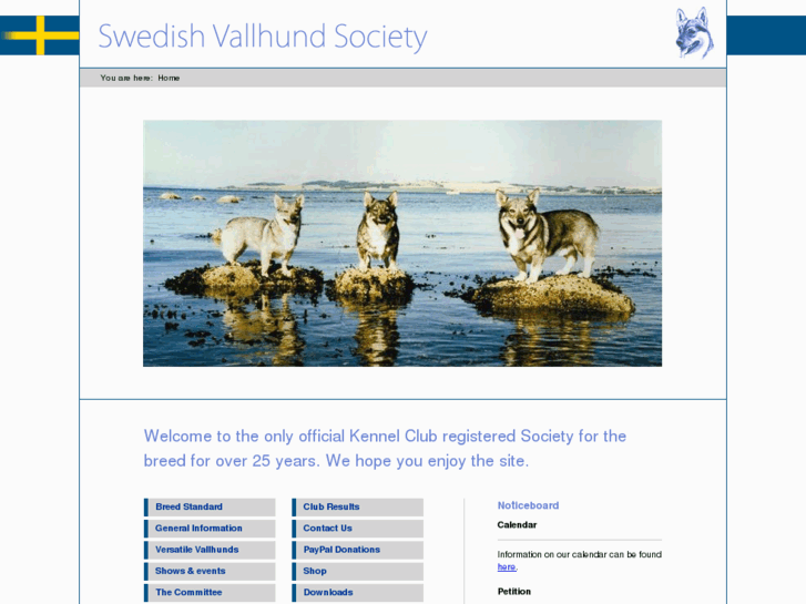 www.swedishvallhunds.co.uk