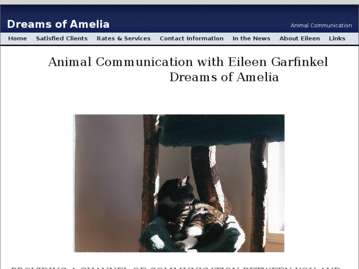 www.dreamsofamelia.com