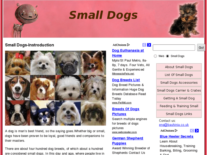 www.smalldogs.org.uk