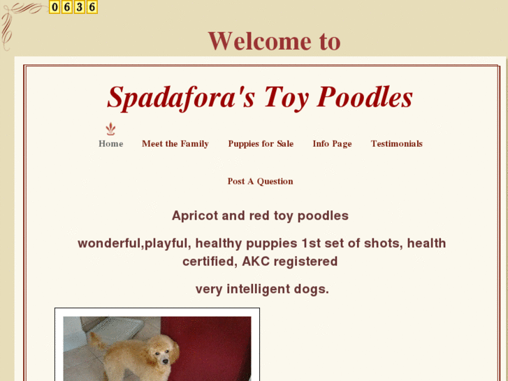 www.spadaforatoypoodles.com