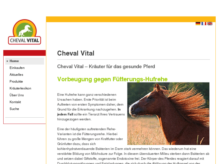 www.cheval-vital.com