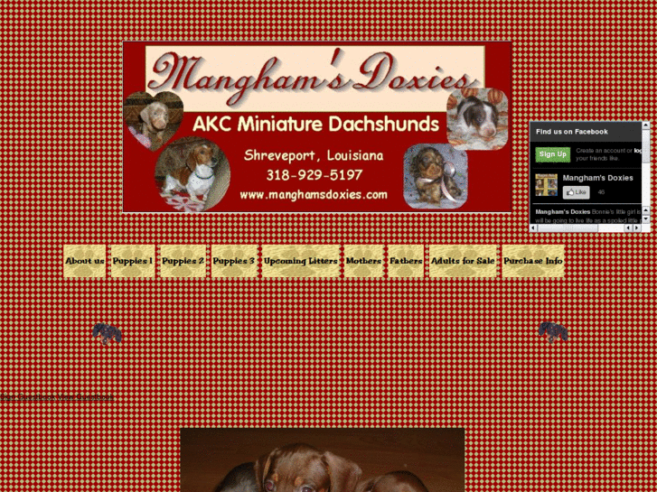 www.manghamsdoxies.com