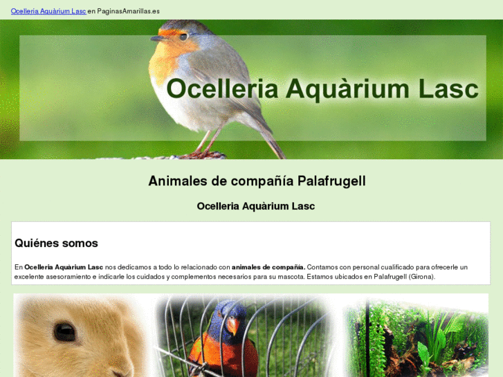 www.ocelleriaaquarium.com