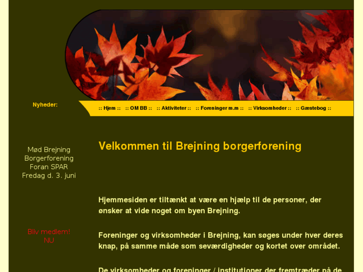 www.se-brejning.dk