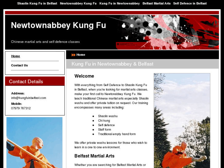 www.kungfuinbelfast.com