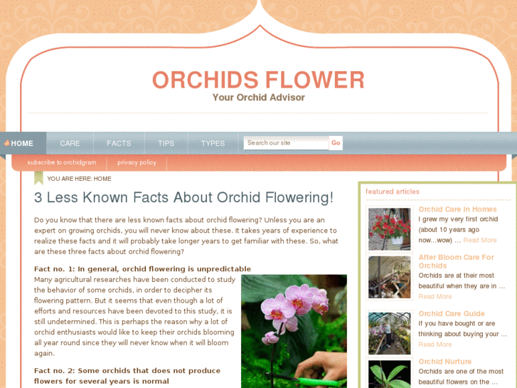 www.orchidsflower.com