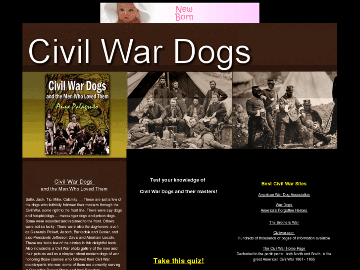www.pipr.org