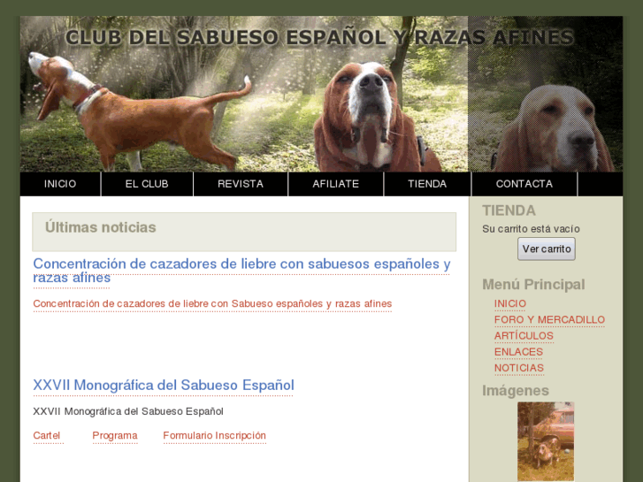 www.sabuesoespanol.com