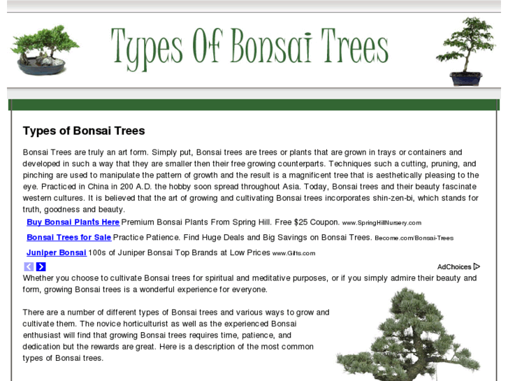 www.typesofbonsaitrees.com