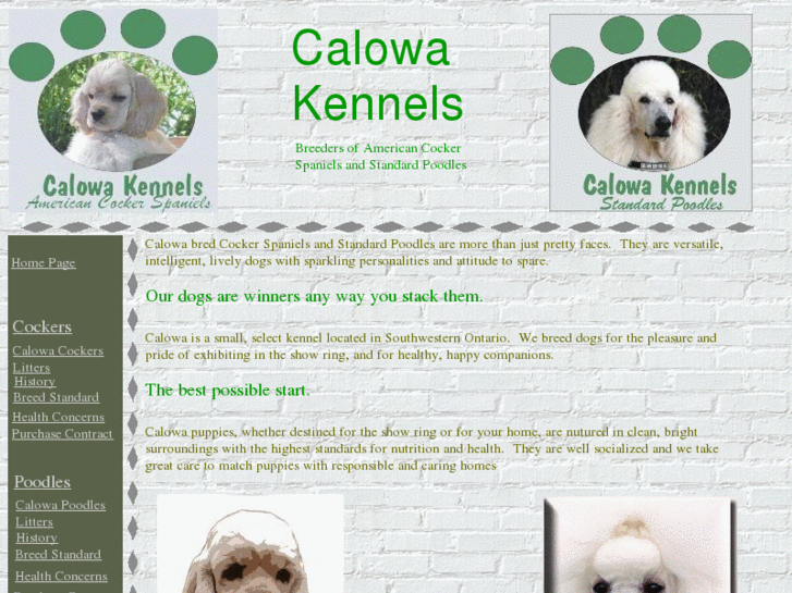 www.calowakennel.com