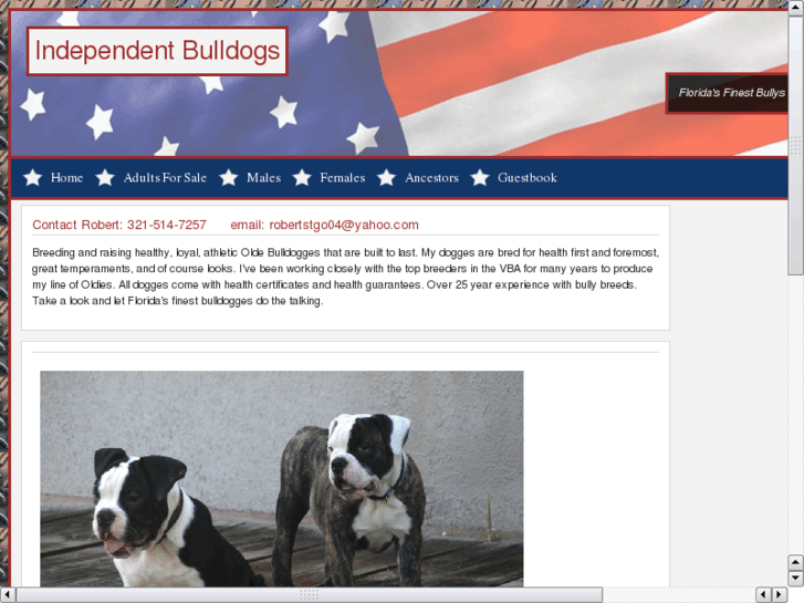 www.independentbulldogs.com