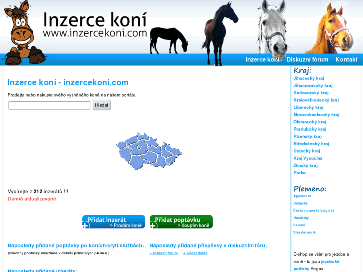 www.inzercekoni.com