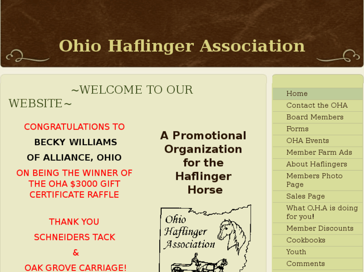 www.ohiohaflinger.com
