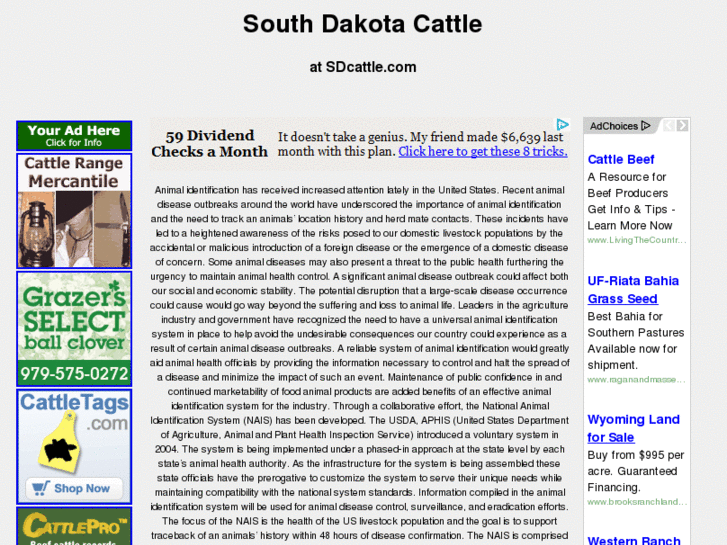 www.sdcattle.com