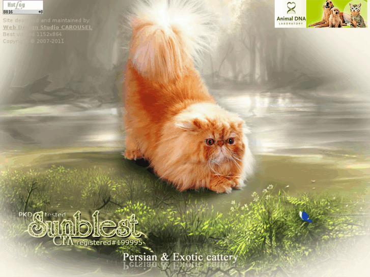 www.sunblest-cattery.com