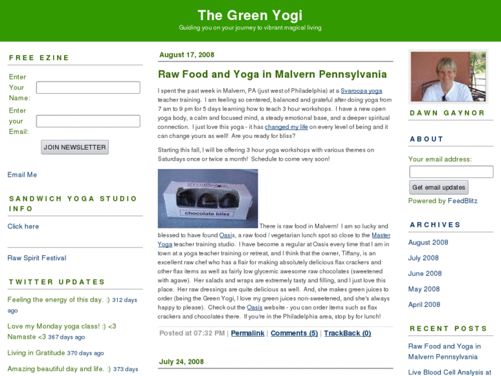 www.thegreenyogiblog.com