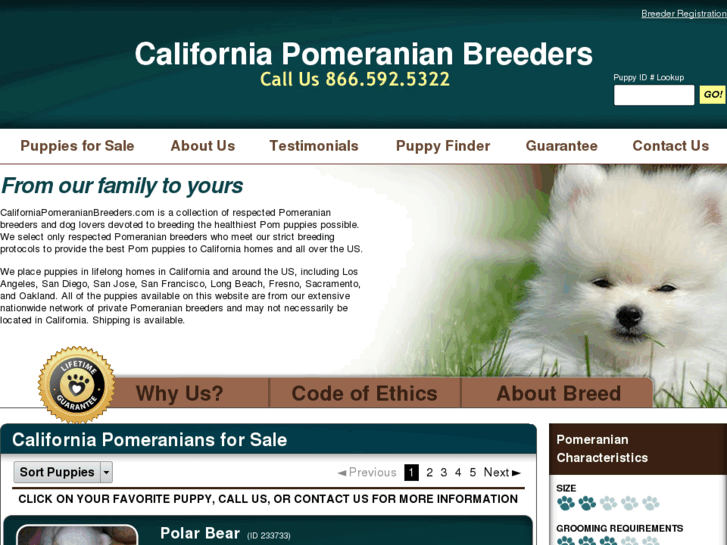 www.californiapomeranianbreeders.com