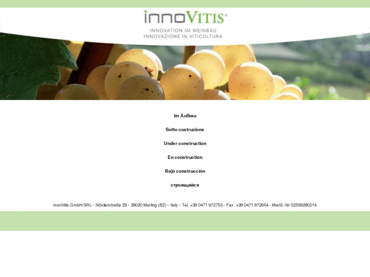 www.innovitis.com