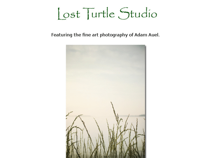 www.lostturtlestudio.com