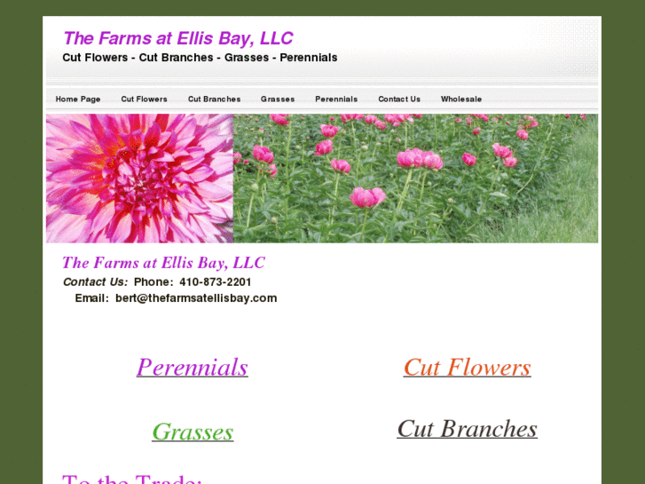 www.thefarmatellisbay.com