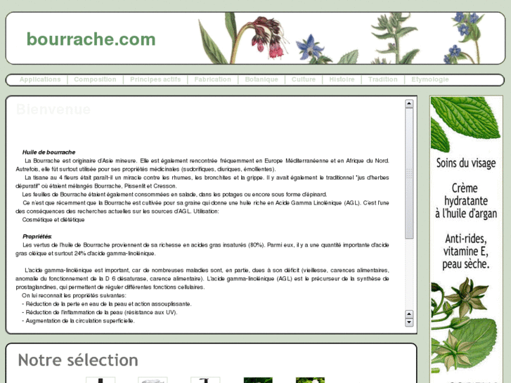 www.bourrache.com