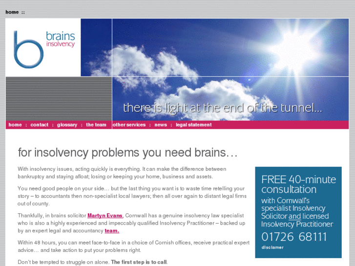 www.brains-insolvency.com