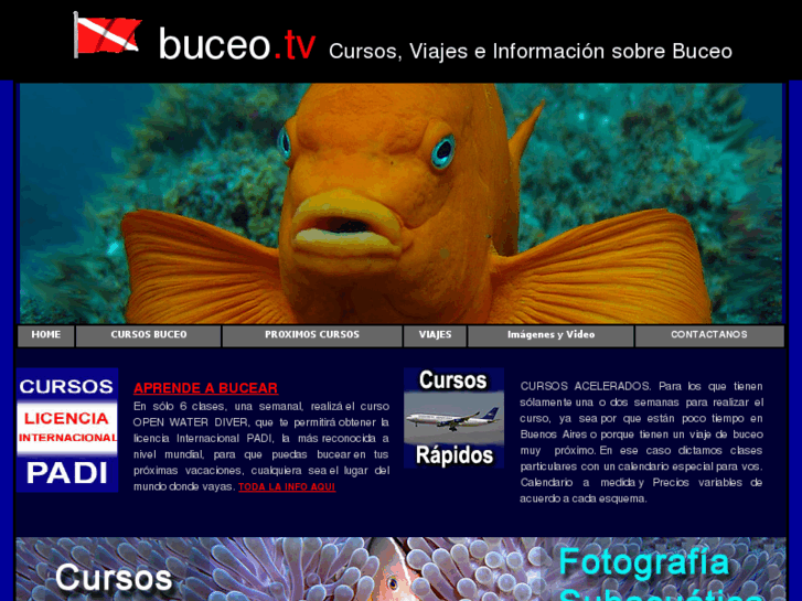 www.buceo.tv