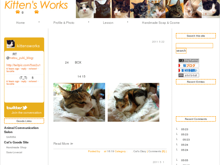 www.kittens-works.com