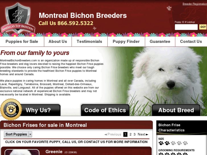 www.montrealbichonbreeders.com