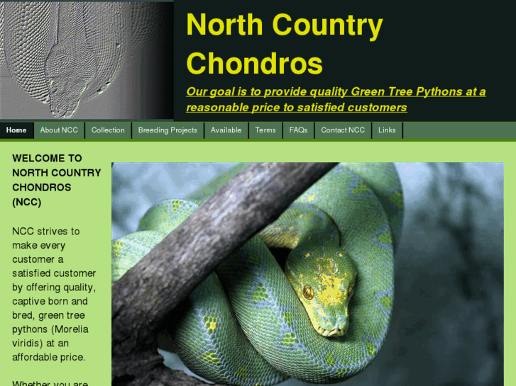 www.nccpythons.com